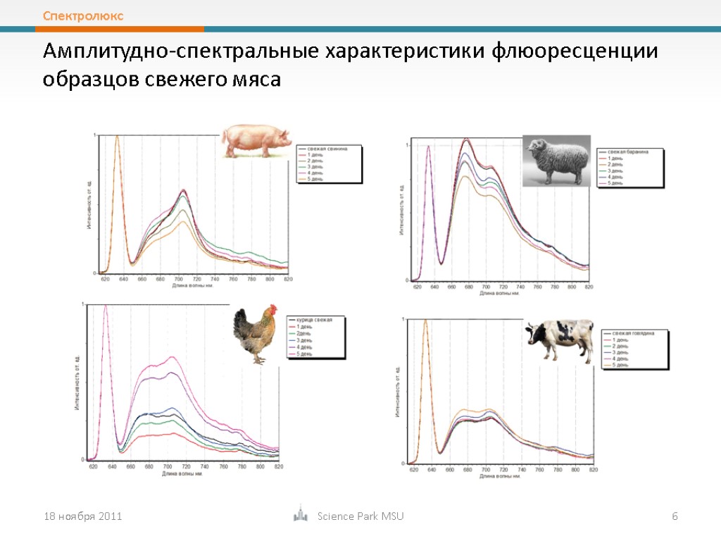 18 ноября 2011 Science Park MSU 6 Амплитудно-спектральные характеристики флюоресценции образцов свежего мяса